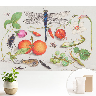Dekor tapéta Botanikai kollázs rovarokkal