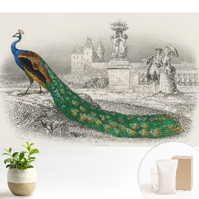 Tapéta Páva egy kertben barokk figurákkal