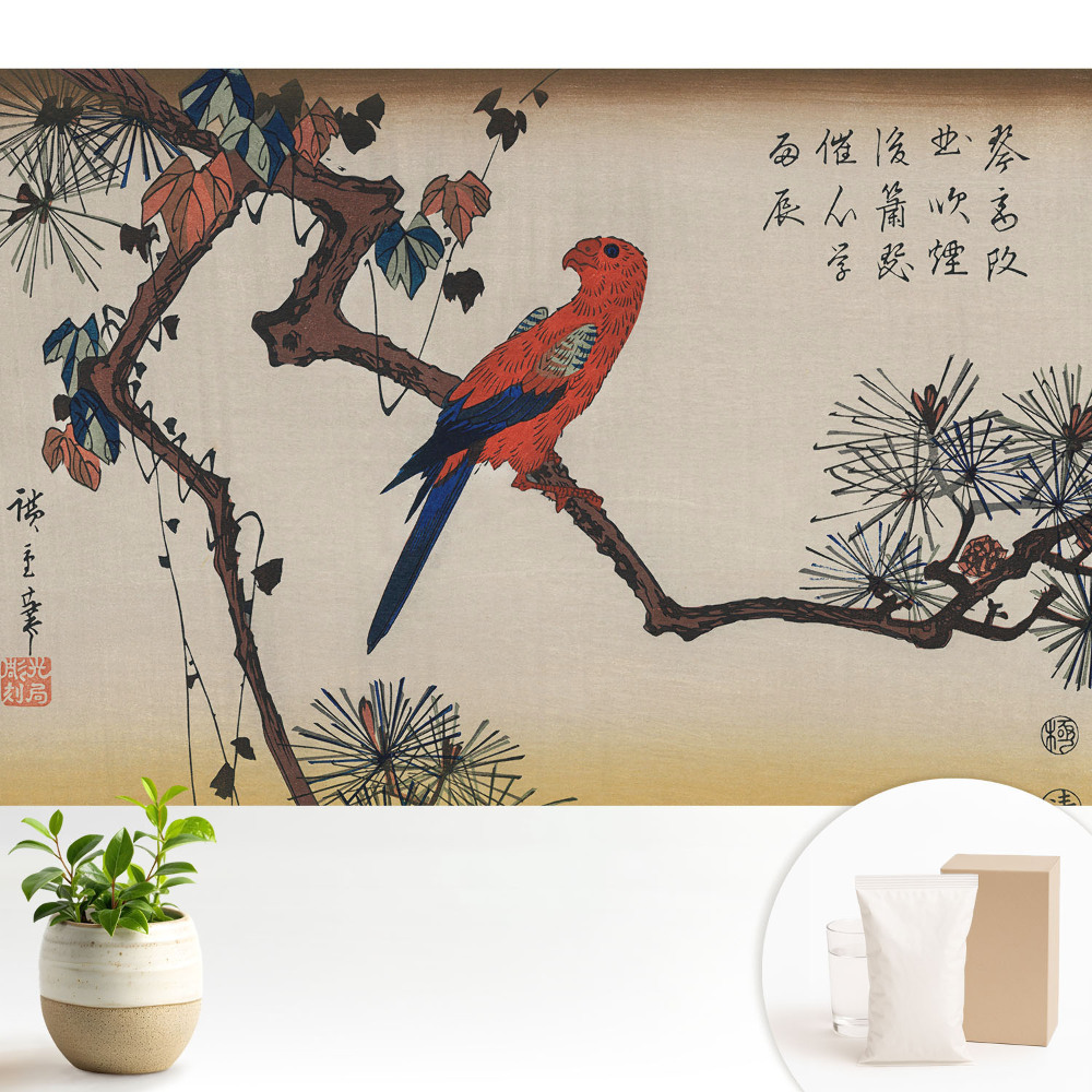 Modern tapéta Egy színes madár egy faágon