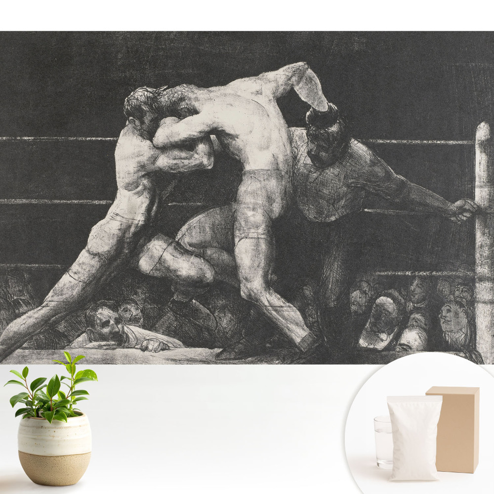 Dekor tapéta Érzelmekkel teli bokszverseny