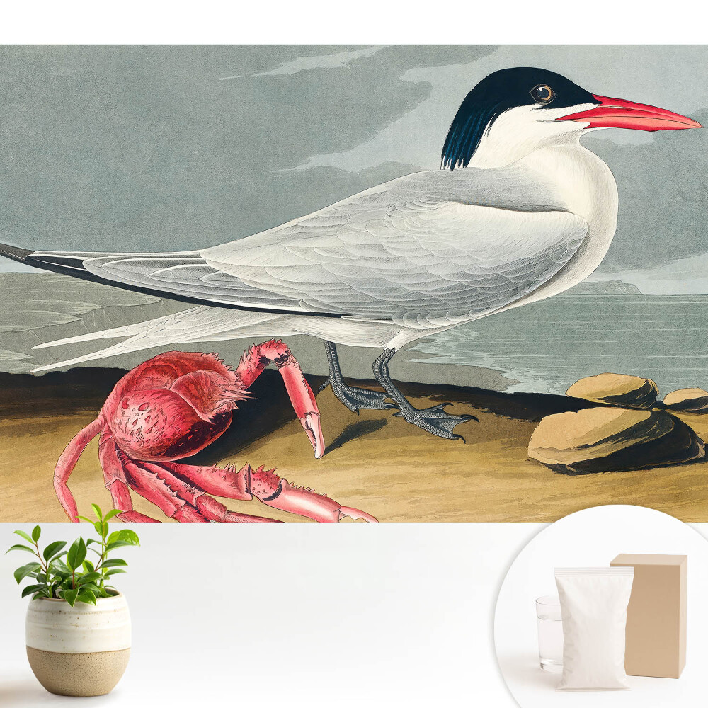 Modern tapéta Madár és rák, a természet klasszikus duettje