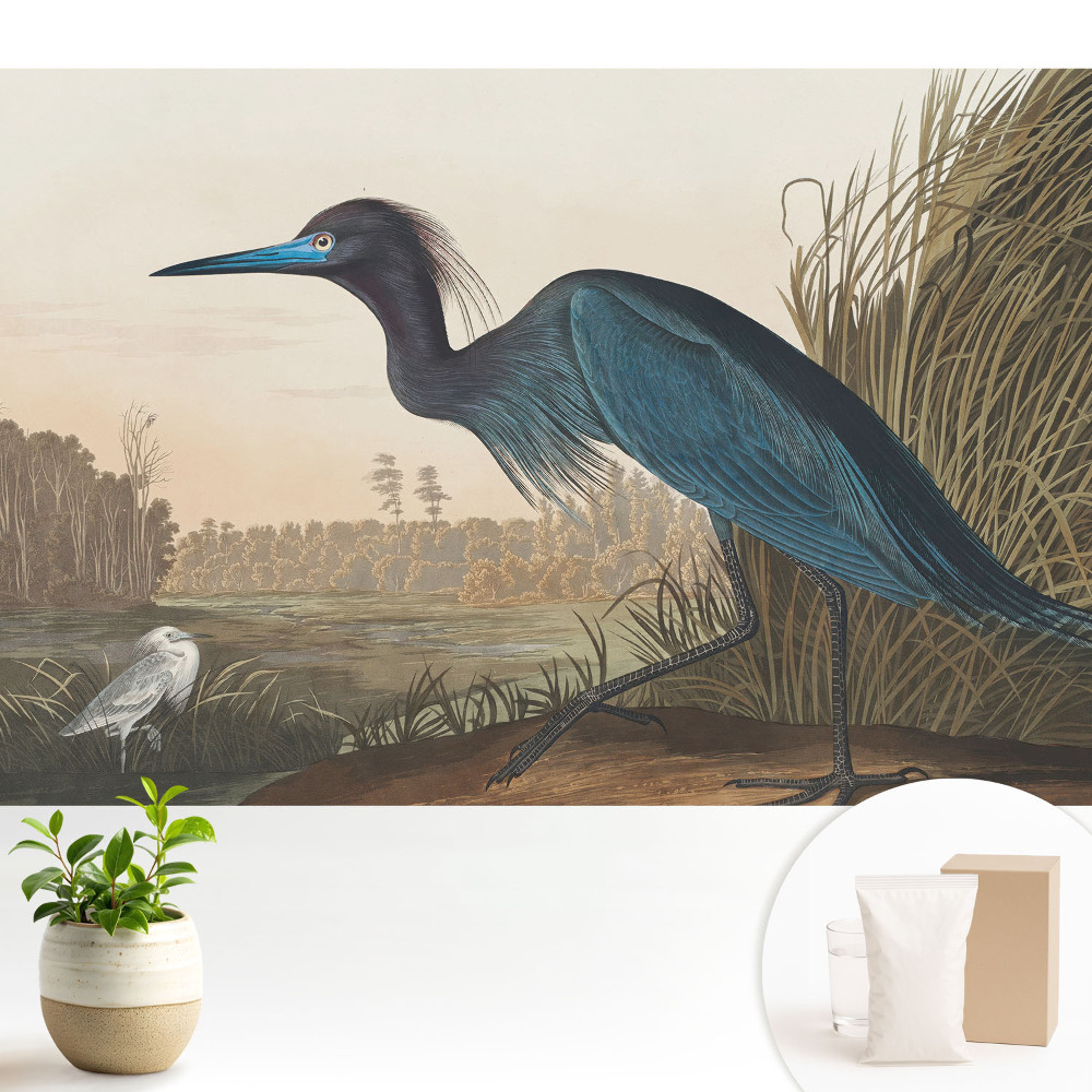 Modern tapéta Klasszikus madártájkép