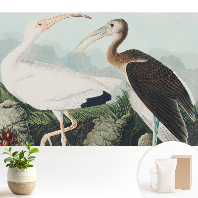 Dekor tapéta Két madár természetes környezetében