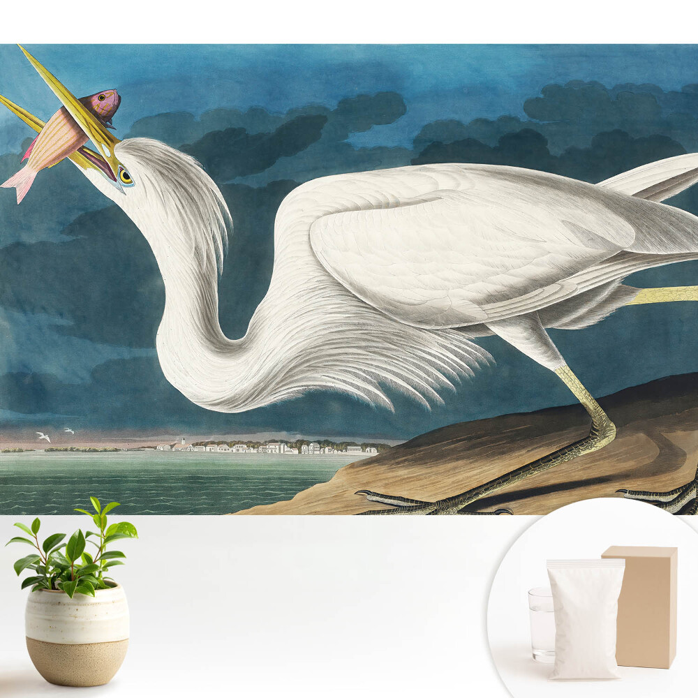 Dekor tapéta Madár eleganciája és természete