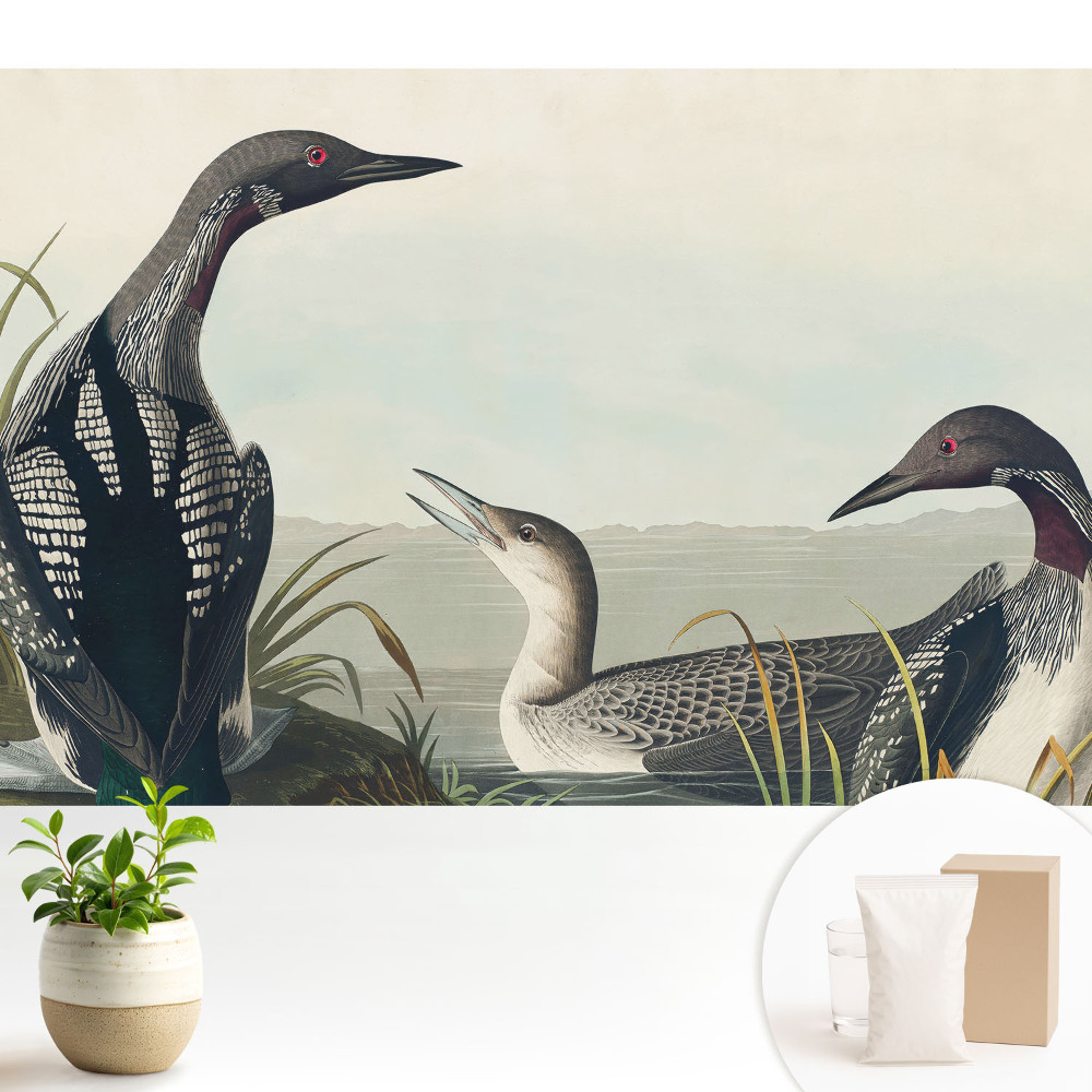 Modern tapéta Három madár klasszikus stílusban.