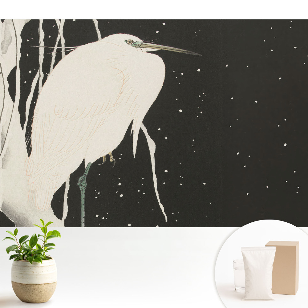 Tapéta Egy madár egy ágon egy téli estén