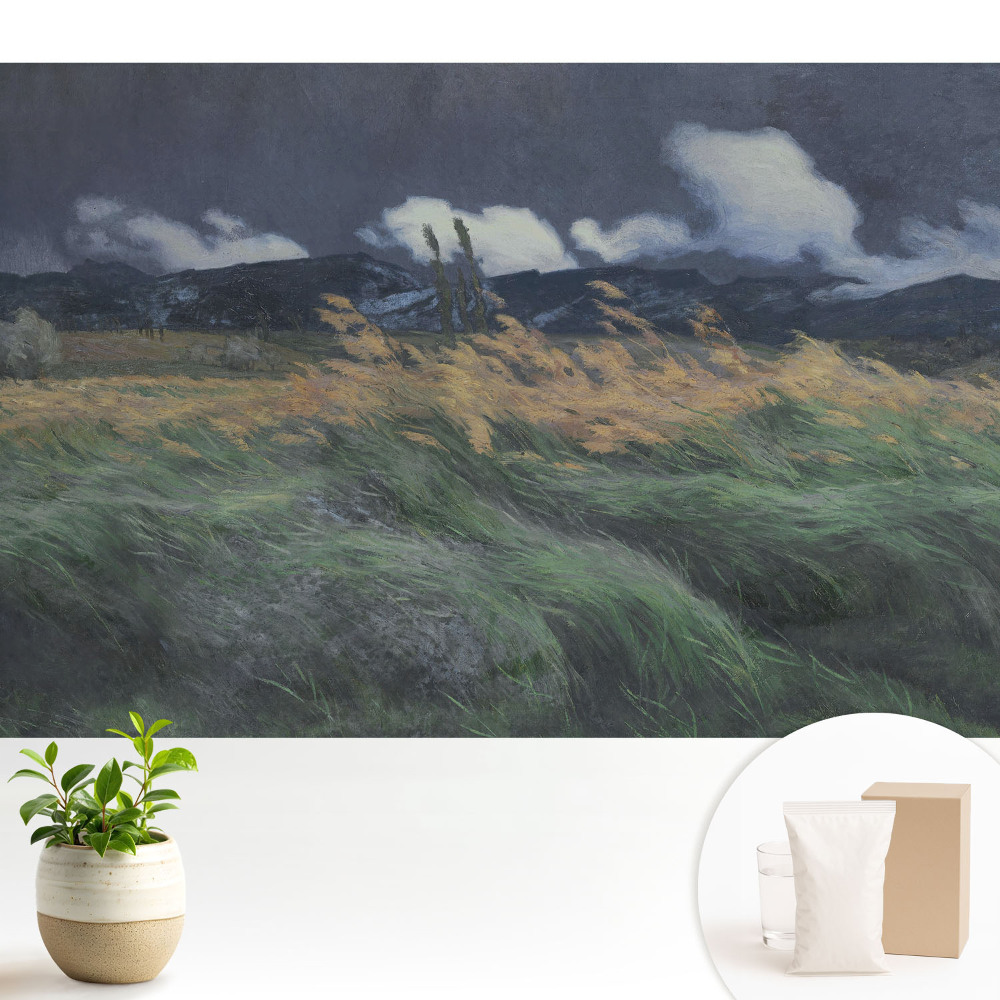 Dekor tapéta Tájkép felhőkkel és széllel