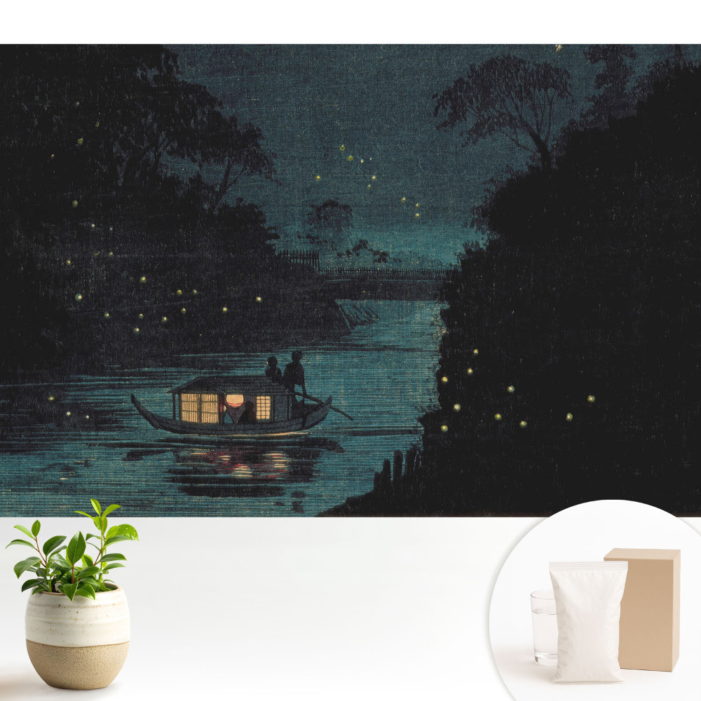 Dekor tapéta Egy szentjánosbogarakkal körülvett éjszakai hajó