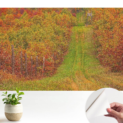 Öntapadó tapéta Őszi út színes fák között