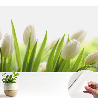 Dekor tapéta finom fehér tulipánmintával, modern és elegáns kivitelben