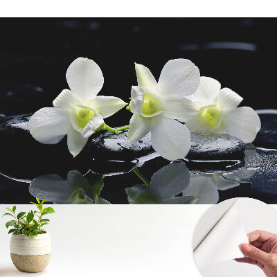 Öntapadós tapéta fehér orchideákkal köveken