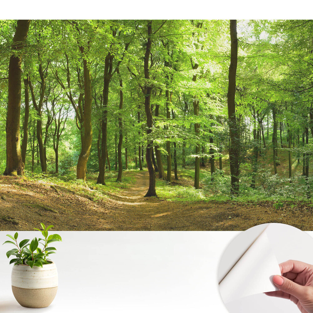 Modern tapéta Friss zöld erdő