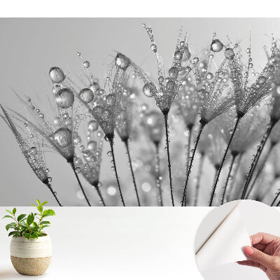 Öntapadós tapéta, cseppmintával és pitypangmotívummal