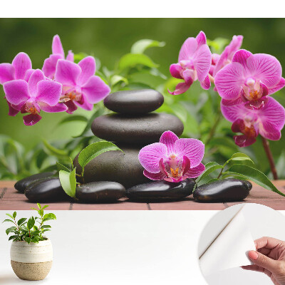 Öntapadós tapéta virágokkal és kövekkel harmonikus elrendezésben