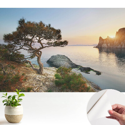 Tapéta Festői naplemente a szikla felett