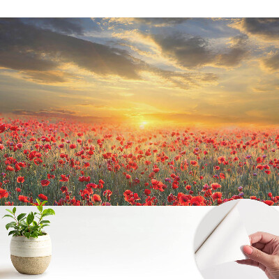 Öntapadós tapéta Pipacsmező reggel, lenyűgöző naplemente