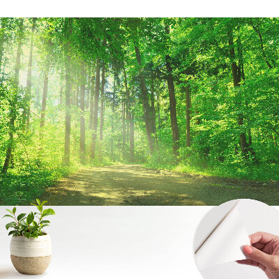 Öntapadó tapéta zöld erdő- és napmotívummal a békés hangulathoz