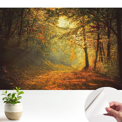 Dekortapéta „Az őszi erdő varázsa”