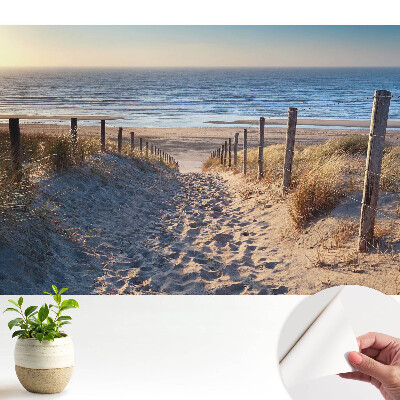 Tapéta ábrázolása: ösvény a dűnéken keresztül a tengerhez