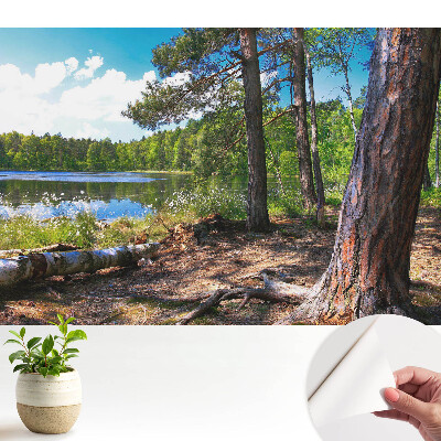 Öntapadó tapéta erdős tájjal a tóparton, természetes, nyugodt hangulattal