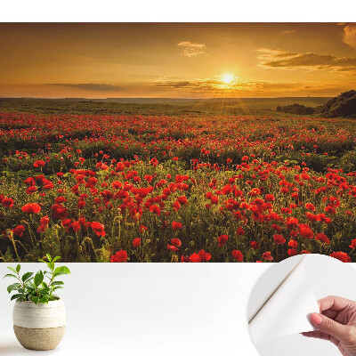 Modern tapéta naplementével a pipacsmezőn