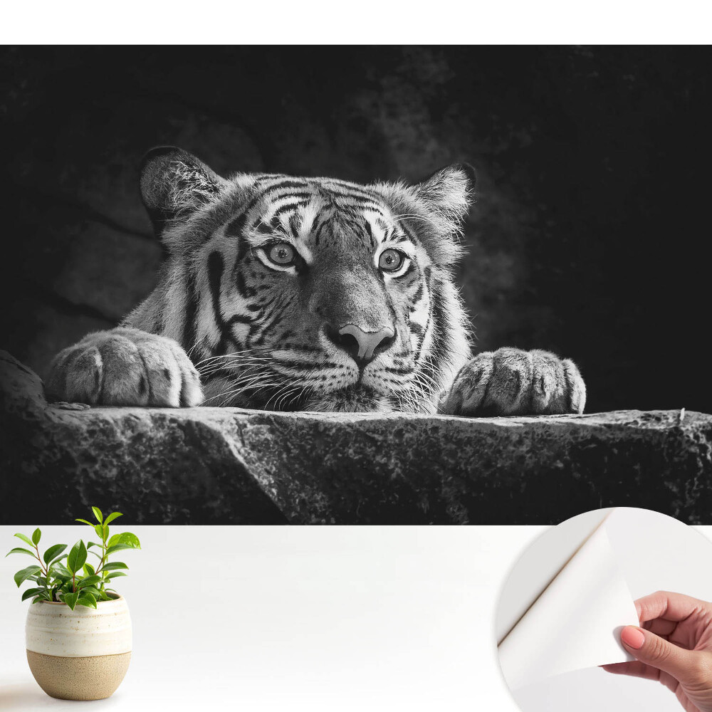 Modern tapéta Tigris fekete-fehérben