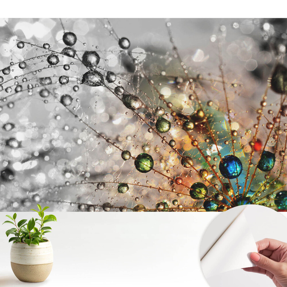 Öntapadós tapéta falra A cseppek színei a pókhálón