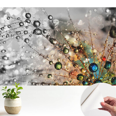 Öntapadós tapéta a pókhálómintázat cseppszíneivel