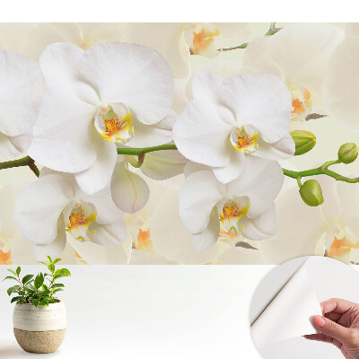 Modern tapéta fehér orchideákkal letisztult, modern stílusban