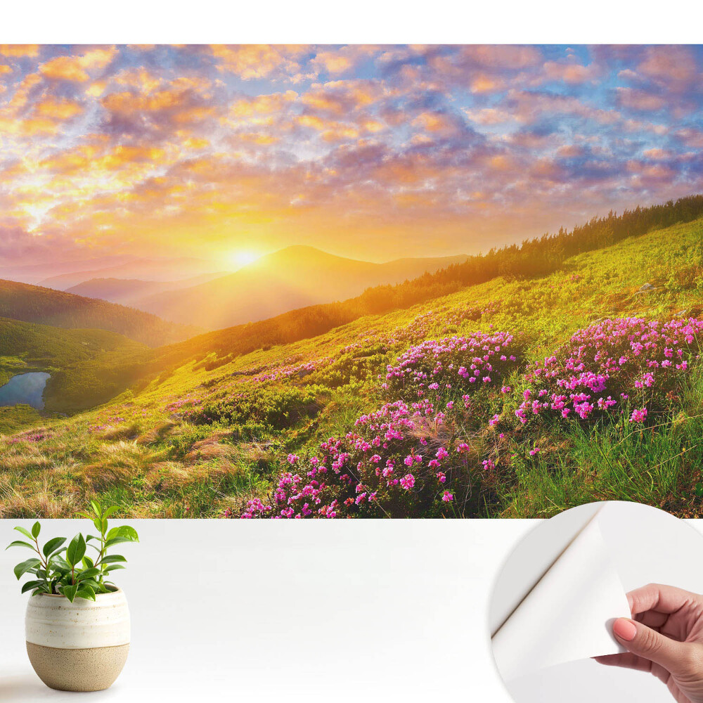 Dekor tapéta Naplemente hegyek virágok