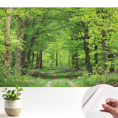 Tapéta zöld erdőmintával harmonikus tájképben