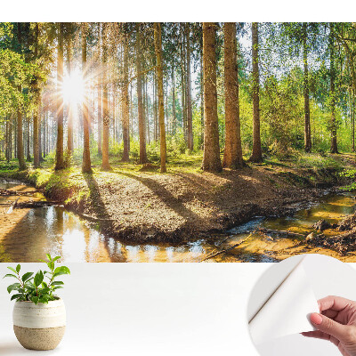 Öntapadós tapéta sugárzó nap erdei tájban