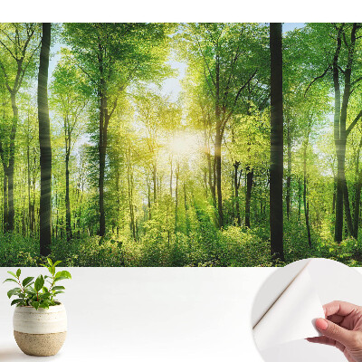 Tapéta zöld erdő napfénnyel