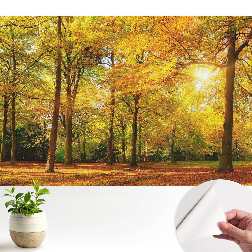 Öntapadó tapéta Őszi panoráma az erdőről, tele színes levelekkel