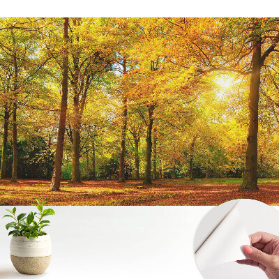 Öntapadó tapéta Őszi panoráma az erdőről, tele színes levelekkel