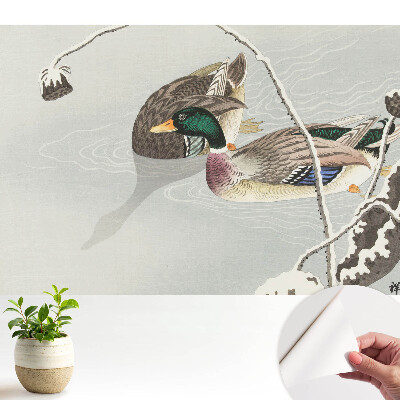 Öntapadós tapéta falra két kacsával a vízen, klasszikus stílusban