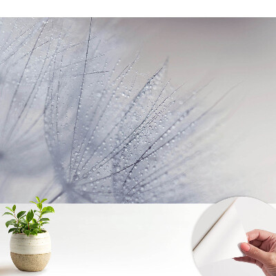 Öntapadós tapéta makró cseppek és pitypangrostok mintájával