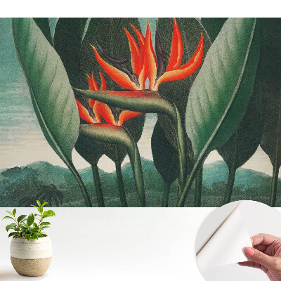 Tapéta egzotikus növények zöld háttérrel