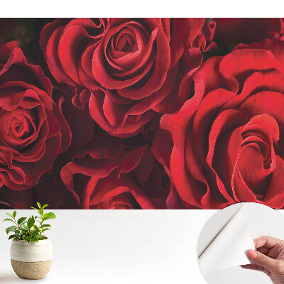 Öntapadós tapéta falra Harmonikusan elegáns vörös rózsák