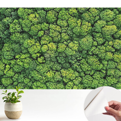 Öntapadós tapéta zöld erdő mintával, felülnézeti látképpel