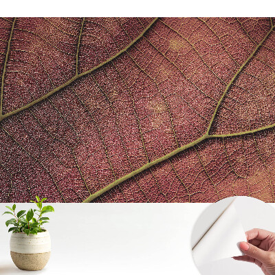 Öntapadó tapéta „A levél” részletes mintával és gazdag színekkel