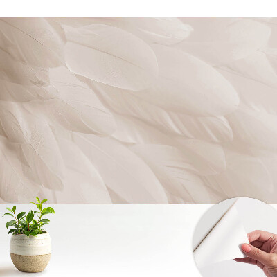 Tapéta finom tollak harmonikus kompozíciójával