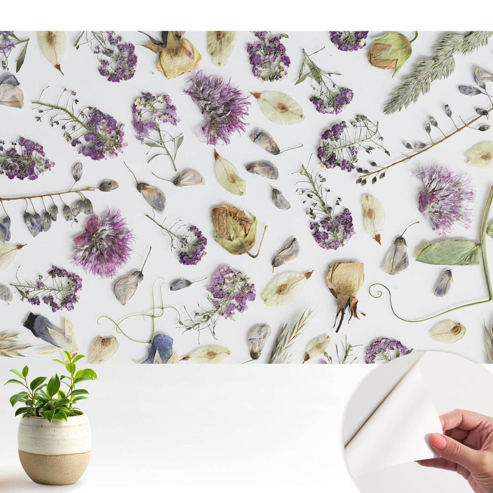 Öntapadós tapéta Szárított virágok fehér alapon