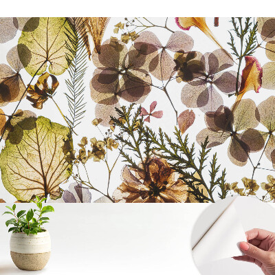 Öntapadós tapéta falra Szárított levelek és virágok bohém stílusban