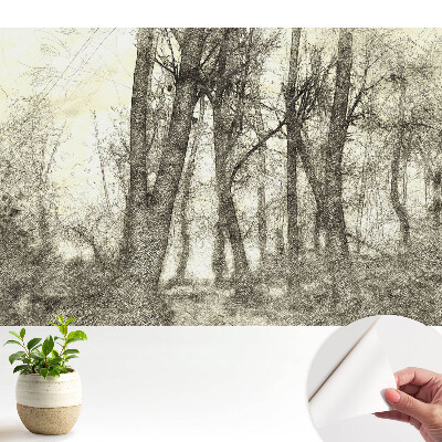Dekor tapéta Az erdő hangulatos tája
