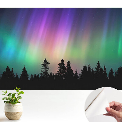 Modern aurora borealis tapéta erdő fölött