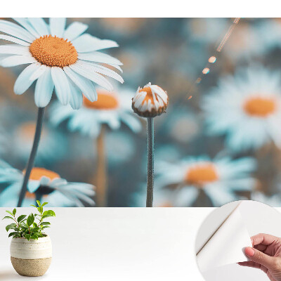 Modern tapéta finom kamillavirág-mintával, nyugalmat árasztó hatással