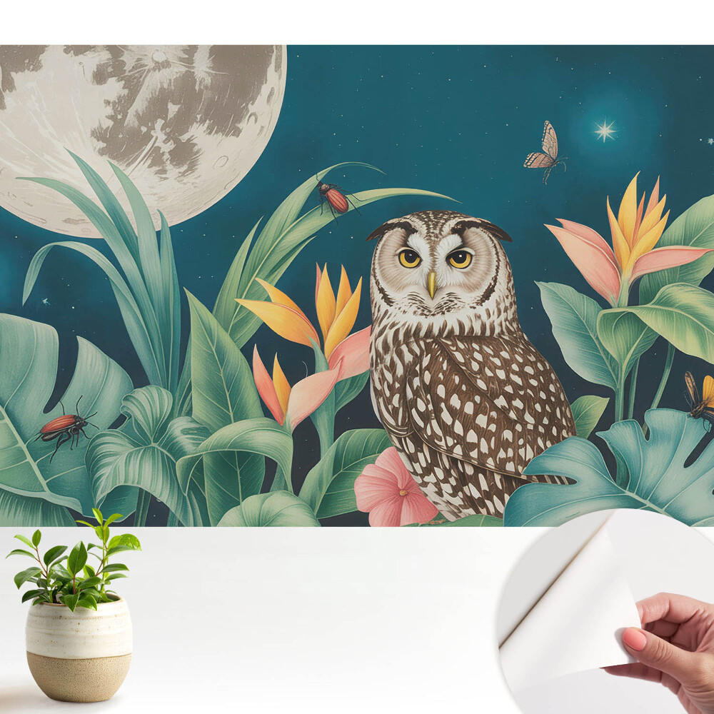 Öntapadó tapéta Éjszakai tájkép egy bagolyval és a Holddal