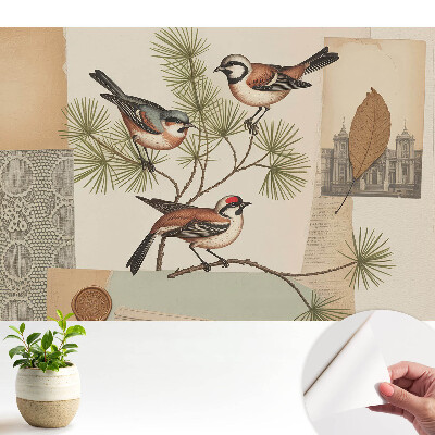 Öntapadós tapéta madaras vintage kollázs mintával a falra