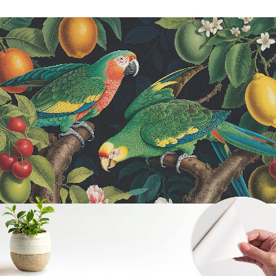 Dekor tapéta Egzotikus motívum papagájokkal és gyümölcsökkel